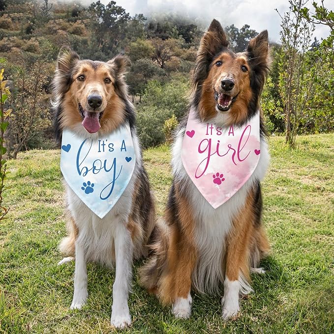 2 Packs It's a Boy and It's a Girl Gender Reveal Dog Bandana Baby Announcement Pet Triangle Scarf Accessories Pink and Blue Dog Bandana for Small Medium Large Dogs Cats