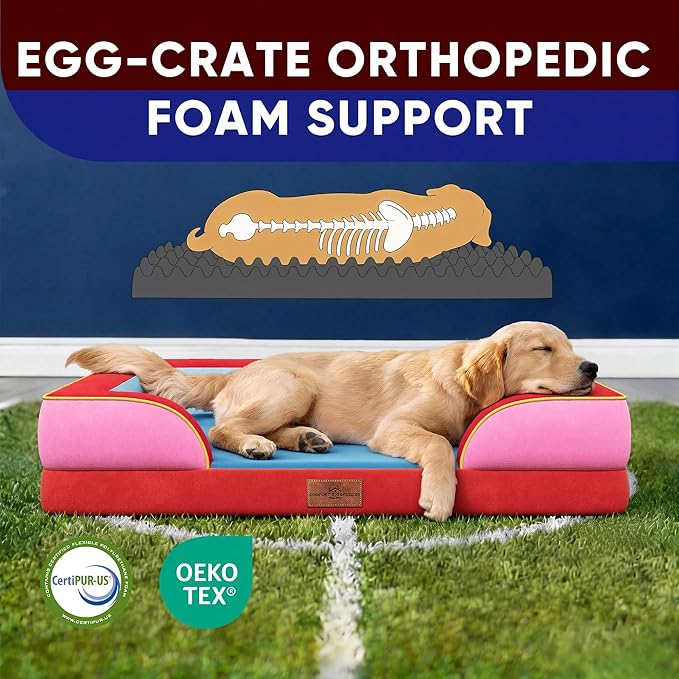 Comfort Expression Orthopedic Dog Bed for Large Dogs 36x27 Inch, Waterproof Egg Crate Foam Large Pet Bed with Removable Bolsters, Dog Couch with Washable Cover & Non-Slip Bottom, Los Angeles