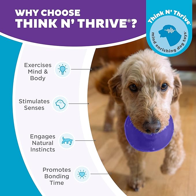 Outward Hound by Planet Dog Lil' Snoop Dog Toy – Treat‑Dispenser Puzzle Ball, Interactive Slow Feeder, Small to Medium Dogs, Bouncy & Mint-Infused, Purple, 3.9"