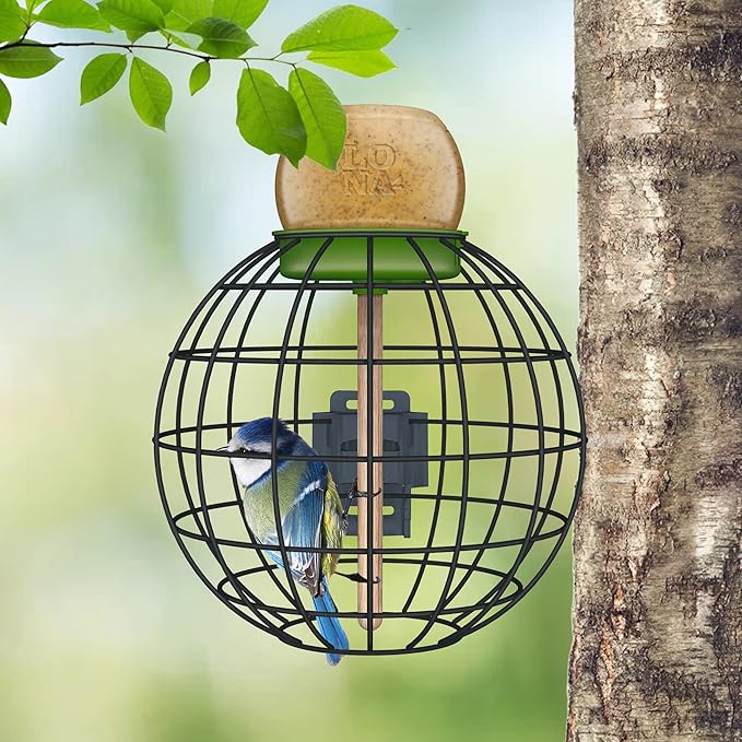 LONA Squirrel Proof Bird Feeding Cage for Outdoor All-Weather Metal Caged Bird Feeder with Peanut Butter Jar Holder, Trapeze Stick, Chew-Proof Feeding Cage for Small Birds (Round Cage, 1 Feeding Unit)