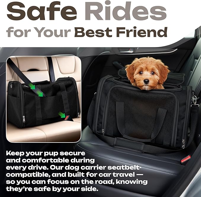 Airline Approved Medium Pet Carrier for Cats & Dogs – Foldable Dog Bag with Soft Mat, Breathable Mesh Windows, Travel-Ready Cat Carrier (Up to 15 lbs, Black)
