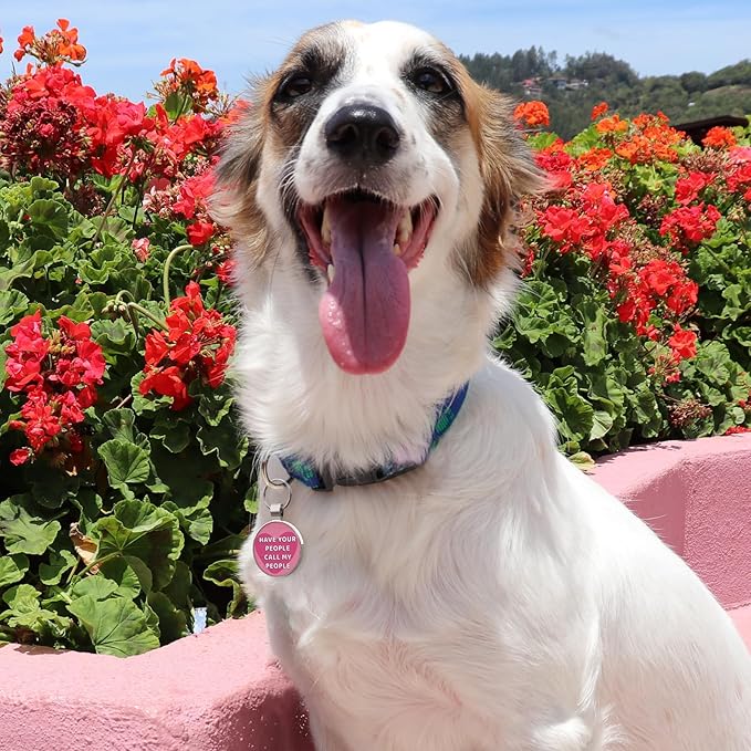 MYLUCKYTAG QR Code Pet ID | Personalized Dog & Cat Collar Tag | Online Profile with Instant Scanned Location Alert Email