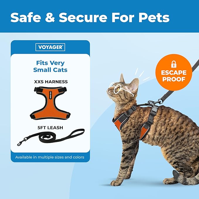 Voyager Escape-Proof Step-in Lock Cat Harness & 5ft Neoprene-Handle Leash Set All-Weather Mesh with Reflective Stitching for Small to Large Cats by Best Pet Supplies, Black Trim-Orange (327), XXS