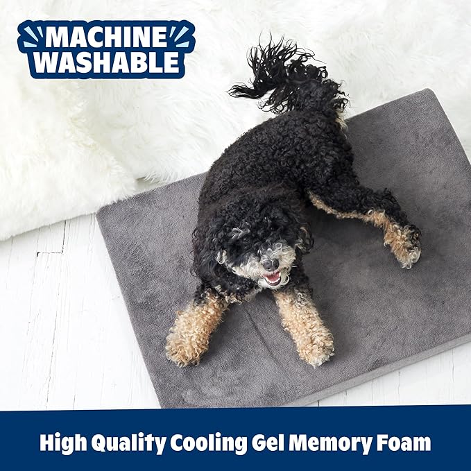 Barkbox Orthopedic Dog Bed with Memory Foam, Premium Comfort for Dogs and Puppies, Large Sized Dog Bed for Joint Relief and Restful Sleep, Durable and Easy to Clean - Grey, Large