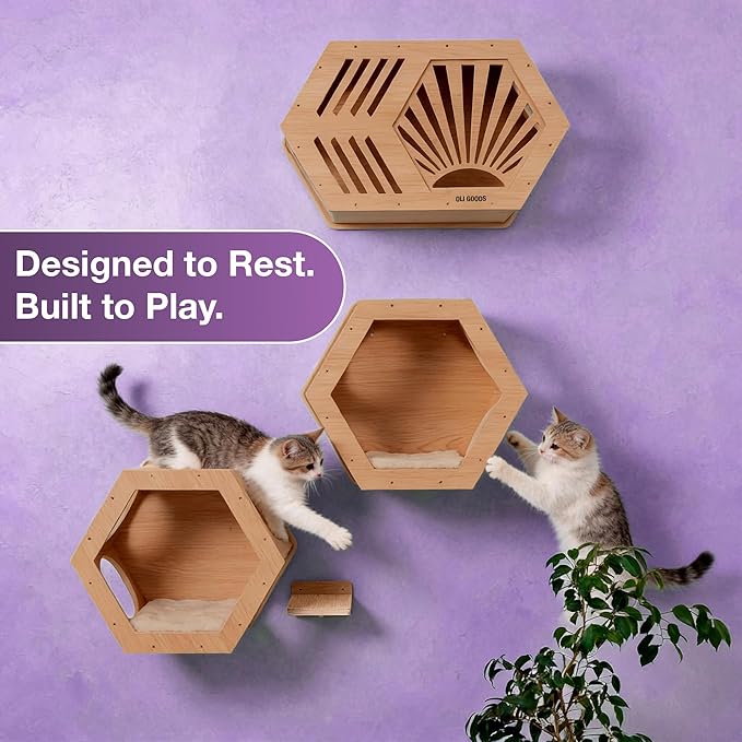 Modern Hexagonal Cat Wall Shelf System, 6-Piece Wood Wall Mounted Cat Furniture with 2 Small Hexagons, 1 Large Hexagon and 3 Climbing Steps, Geometric Cat Shelves