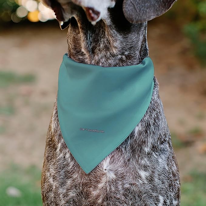 Star Wars Pet Bandana Star Wars Madalorian and Grogu Where He Goes I Go Pose Blue Slip On Collar Bandana Only