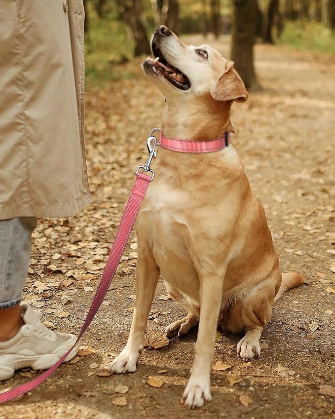 TagME Reflective Nylon Dog Collars, Adjustable Classic Pet Collar with Quick Release Buckle for Extra Large Dogs, Baby Pink, 1¼" Width