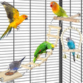 5in1 Bird Perch Ladder with Swing, Natural Wood Parrot Perches Platform with Stainless Steel Feeding Cup, Play Gyms Stands Playground for Budgie Conure Lovebird Canary Hamsters