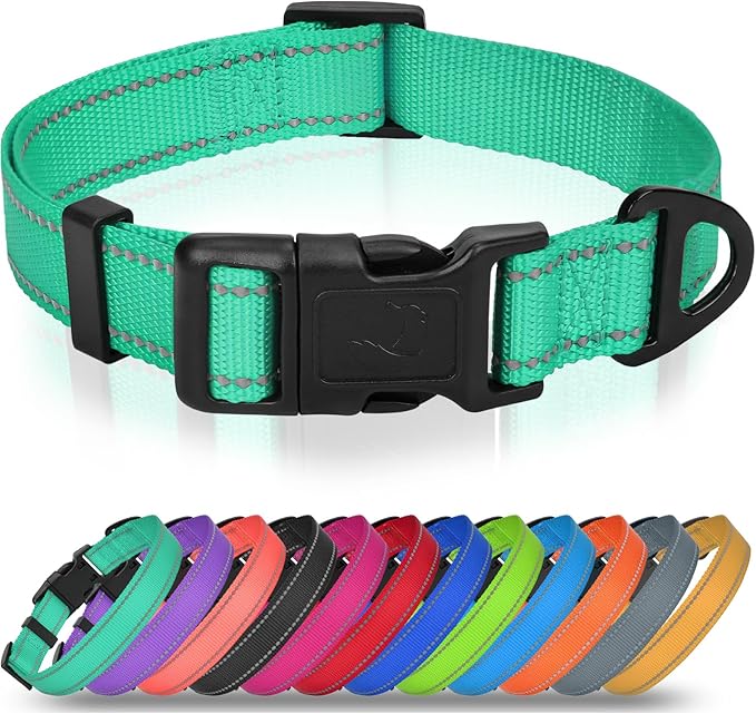 Joytale Small Dog Collar, Reflective and Adjustable Nylon Collar with Quick-Release Buckle, Lightweight No-Choke Design for Small Dogs, Teal, 3/4" Width