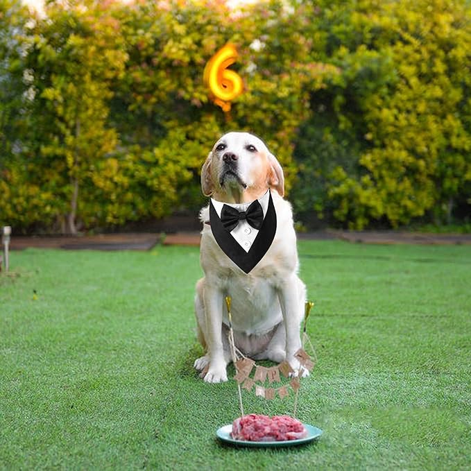 ADOGGYGO Formal Dog Tuxedo, Wedding Dog Bandana Collar with Bowtie, Adjustable Pet Birthday Wedding Tux Outfit for Medium Large Dogs (L, Black)