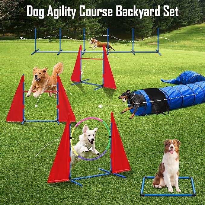 Dog Agility Course Backyard Set, Dog Agility Equipment, Portable Agility Training Equipment for Dogs, Build Dog Obstacle Course Backyard with 2 Tunnels, 3 Jumps, 6 Weave Poles & More, Dog Training Kit