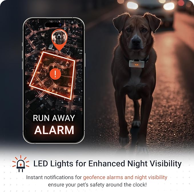 PAJ GPS Tracker for Dogs - 4G GPS Collar Tag with Real-Time Location Tracking & Runaway Alert - Waterproof & Up to 10 Days Battery Life - Fits Any Collar w/Glowing LEDs - Subscription Required - Grey