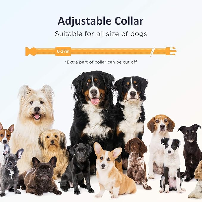 PATPET Dog Training Collar with Remote - Electric Dog Shock Collars for Small Medium Large Dogs, 3 Adjustable Safe Modes Rechargeable Waterproof E Collar for Dogs (8-120 lbs)