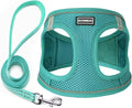 Dog Harness with Leash Set, No Pull Adjustable Reflective Step-in Puppy Pet Vest Harnesses for Small Medium Large Dogs and Cats,Forest Green XXS