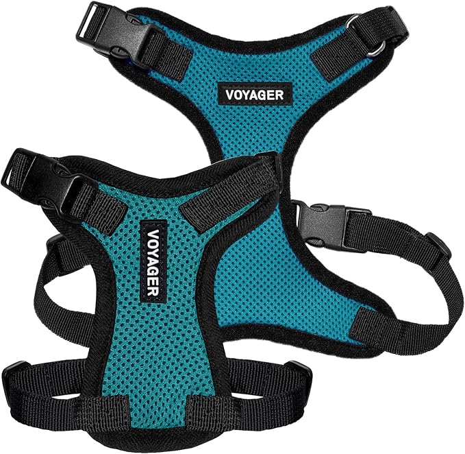 Voyager Step-in Pet Harness - All Weather Mesh, Adjustable Step in Harness for Cats and Dogs by Best Pet Supplies - Turquoise/Black Trim, L