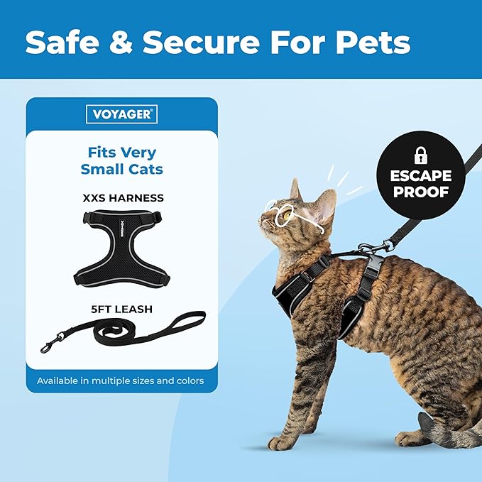 Voyager Escape-Proof Step-in Lock Cat Harness & 5ft Neoprene-Handle Leash Set All-Weather Mesh with Reflective Stitching for Small to Large Cats by Best Pet Supplies, Black (327), XXS