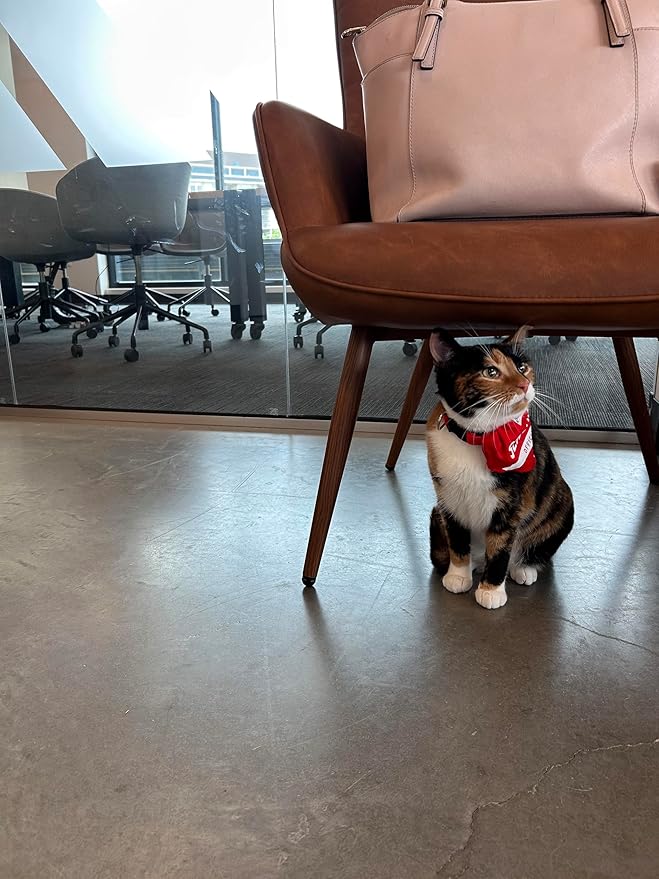 Support Pets Reversible ESA & PSD Pet Bandana – Printed “Support Pet” & Service Pet Scarf – Comfortable Cotton Dog Bandanas & Cat Bandana – Stylish Pet Clothes Accessory – Red, One Size Fits All