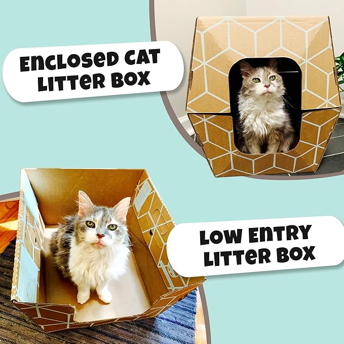 Disposable Litter Boxes for Cats Sampler Both Our Patented Products Woman Owned Small Bus. Made in USA Tray 8.5in. Tall Top Entry Litter Box 15in. Tall. 2021 A.I.C.C. Innovation Award
