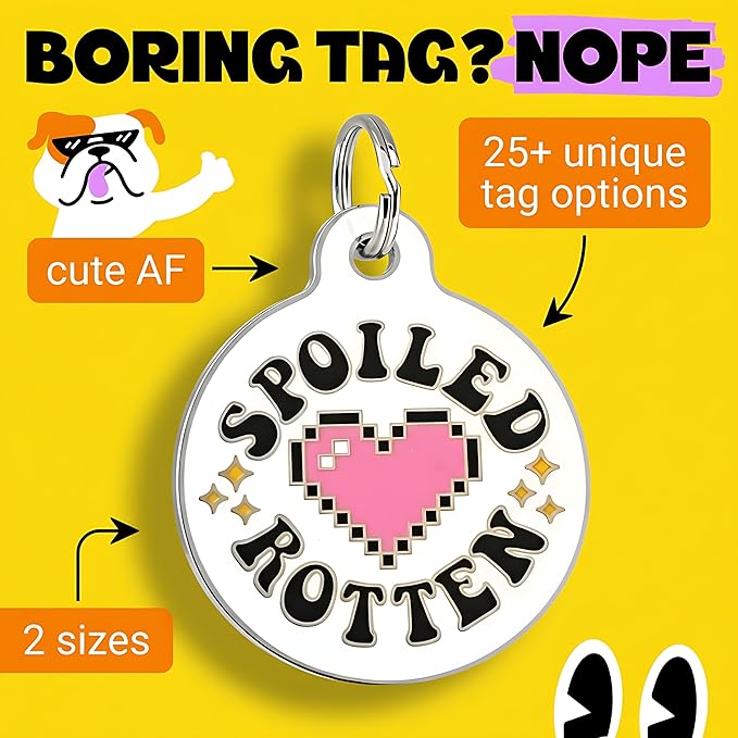 Bad Tags Personalized Dog and Cat ID Tags in 25+ Designs and 2 Sizes - 5 Lines of Custom Engraved Text - Funny Cute Personalized Pet Tags (Spoiled Rotten, Small (1 inch))