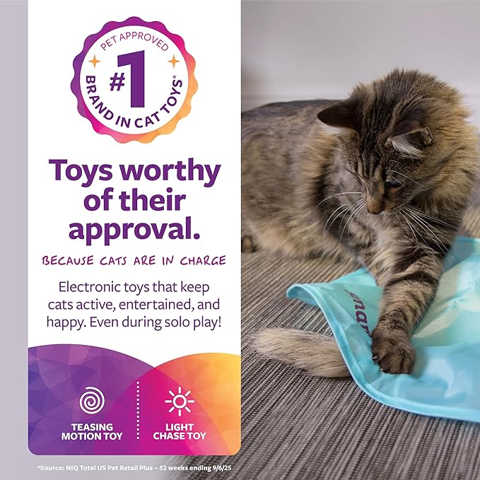 SmartyKat Electronic Motion/Moving Toys for Cats & Kittens, Battery Powered, Mimics Motion of Real Prey, Fun & Interactive Play - Multiple Styles