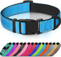 Joytale Reflective Dog Collar, Soft Neoprene Padded, Metal D-Ring, Nylon Pet Collar Adjustable for Small Dogs, Sky Blue, S