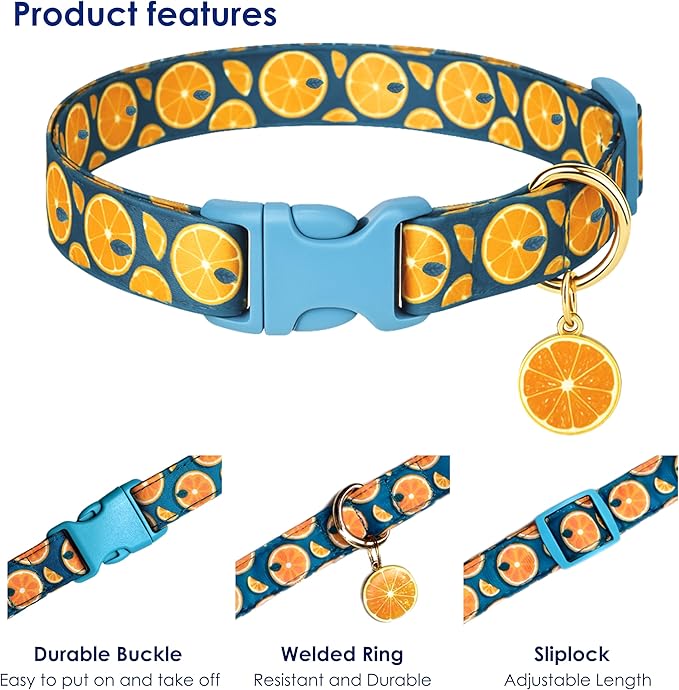 Cute Dog Collar Fruit Orange Pattern for Boys and Girls Holiday Dog Collars Summer Fall Gift Adjustable for Small to Medium Breed Dogs (Fruit Orange, XS)