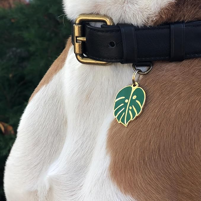 Two Tails Pet Company Personalized 'Monstera Leaf' Pet ID Tag & Collar Charm - Custom Engraved Dog Tags for Pets - Luxury Brass, Gold Plating