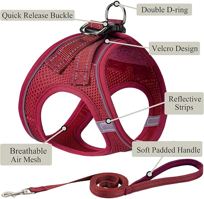 Dog Harness with Leash Set, No Pull Adjustable Reflective Step-in Puppy Pet Vest Harnesses for Small Medium Large Dogs and Cats,Red XL