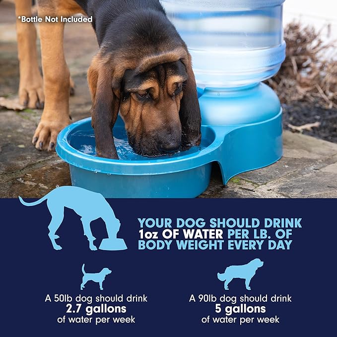 Petmate Big Blue Outdoor Water Bowl, 5 Gallons, (Water Jug Not Included), Made in USA
