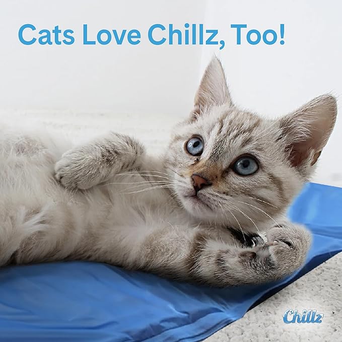 The Green Pet Shop Chillz Gel Mat, Extra Large - Pressure-Activated Cooling Pad for Pets Over 50 lbs - Non-Toxic, No Water or Refrigeration Needed - Ideal for Home, Travel & Crates
