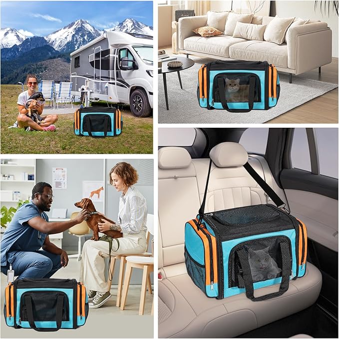 Discala Large Cat Carrier, Pet Carrier, Dog Carrier for Small Dogs, Cat Carrier Soft, Collapsible Large Pet Carrier for Traveling Indoor and Outdoor Uses - Blue 20"x13"x13"
