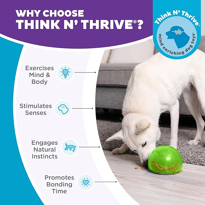 Outward Hound by Planet Dog Snoop Dog Toy – Treat‑Dispenser Puzzle Ball, Interactive Slow Feeder, Medium to Large Dogs, Bouncy & Mint-Infused, Green, 5"