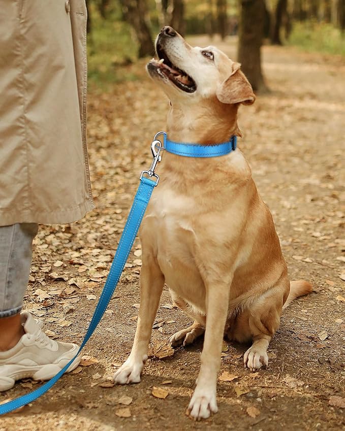 TagME Reflective Nylon Dog Collars, Adjustable Classic Pet Collar with Quick Release Buckle for Extra Large Dogs, Sky Blue, 1¼" Width