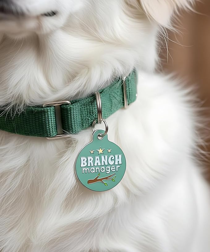 Bad Tags Personalized Dog and Cat ID Tags in 25+ Designs and 2 Sizes - 5 Lines of Custom Engraved Text - Funny Cute Personalized Pet Tags (Branch Manager, Large (1.25 inch))