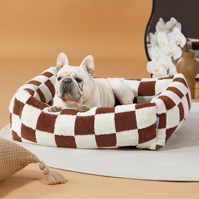 LE SURE Cute Dog Bed for Medium Dogs - Washable Pet Beds,Cozy Rectangle Orthopedic Sofa with Jacquard Shaggy Plush & Anti Slip Bottom,30x24x8inches