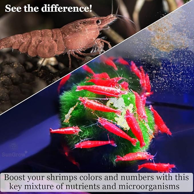 SunGrow Shrimp Calcium White Powder, Supports Healthy Molting, Improves Shell Color, Growth & Strength, Enhances Water Quality, Breeding Support, Essential Mineral for Freshwater Shrimp, 1.8 oz