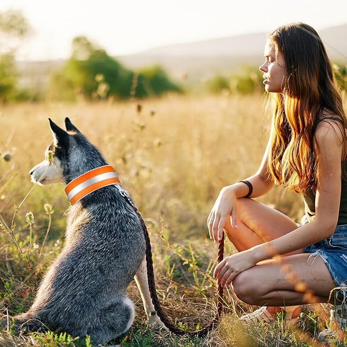 Paterr 2 Pcs Reflective Dog Collar High Visibility Adjustable Pet Collars with Quick Release Fastener Comfortable Dog Walking Accessories for Small Medium Large Pet, Orange, Fluorescent Green(Stripe)