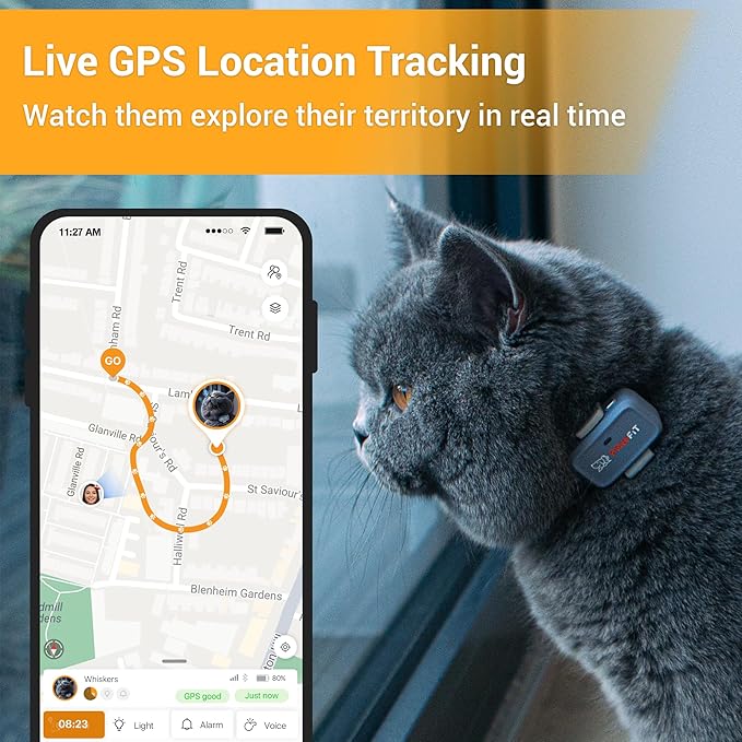 Pawfit Lite for Cats 4g GPS Tracker | Ultra-Small (<18g) Design | Real-Time Tracking | Activity Monitoring | Location History | Unlimited Range | Safety Collar Included | Onyx Black