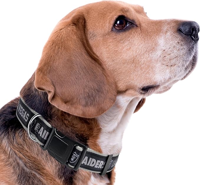 Pets First NFL Raiders Licensed PET COLLAR, Large - Heavy-Duty, Strong, and Durable Dog Collar. Available in 31 Football Teams and 4 Sizes
