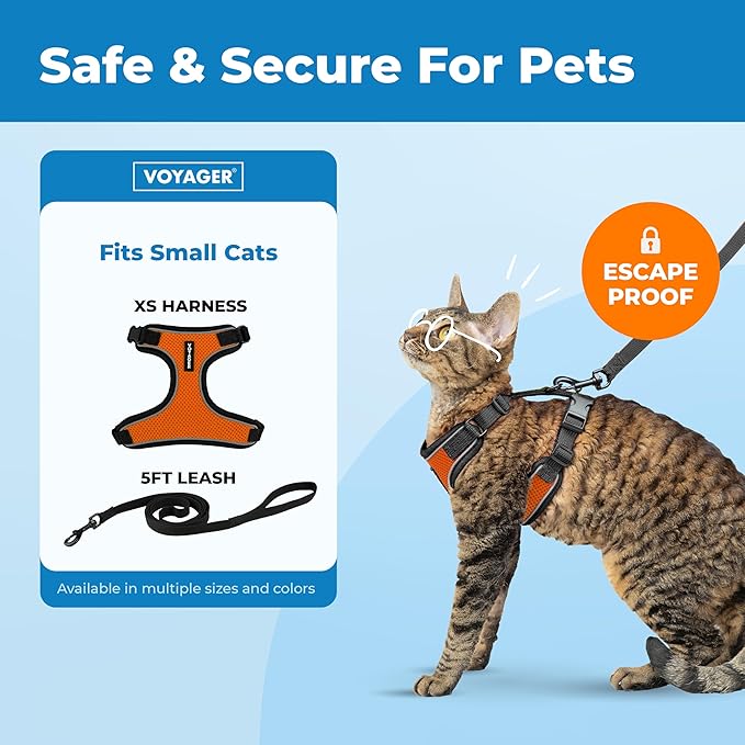 Voyager Escape-Proof Step-in Lock Cat Harness & 5ft Neoprene-Handle Leash Set All-Weather Mesh with Reflective Stitching for Small to Large Cats by Best Pet Supplies, Black Trim-Orange (327), XS