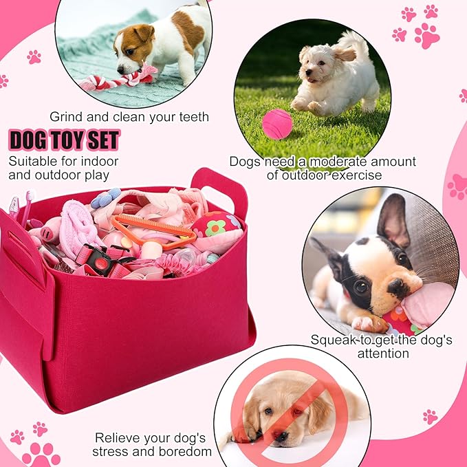 Abbylike 50 Pcs Puppy Supplies Starter Kit for Small Dogs Puppy Essentials Includes Leash, Bowls, Teeth Brushes, Water Bottle, and More Accessories for Dogs Pet Day Welcome Gift(Pink)