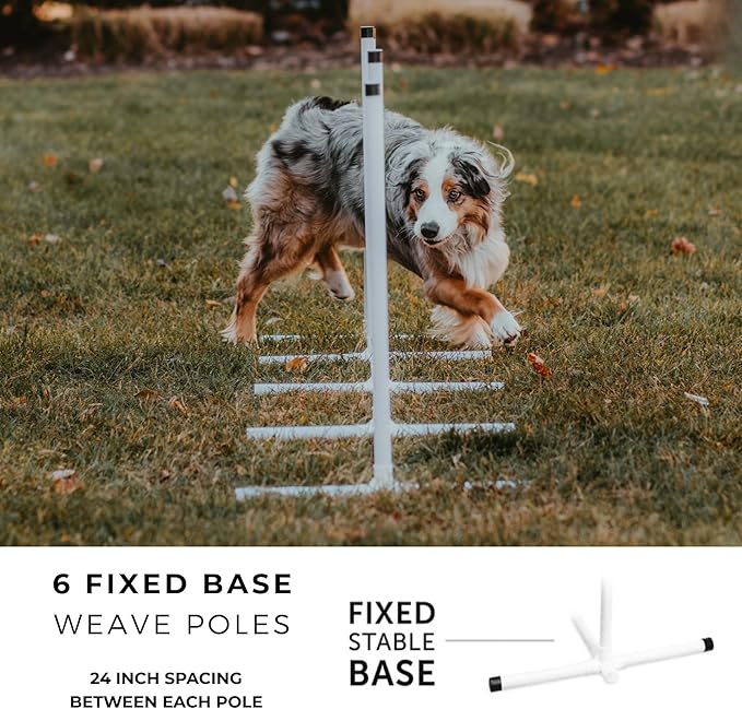 Better Sporting Dogs Complete Starter Agility Set for Dogs | 5 Piece Dog Agility Kit | Agility Jump | Tire Jump | Weave Poles | 10’ Tunnel with Sandbags | Pause Box