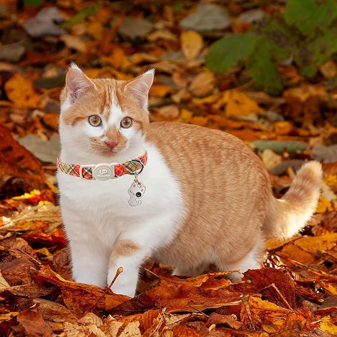Cat Collar-2Pack Autumn Orange Plaid Kitten Collars-Halloween Plaid Breakaway Kitty Collars-Cute Kitty Pendants,Yellow Orange Grid Cat Collar with Bell, for Girl & Boy Cats