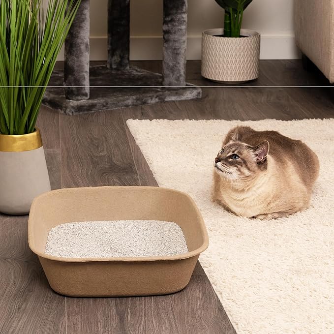 Kitty Sift Disposable Cat Litter Box Large, 6 Count, Durable Portable for Travel and Home, Eco-Friendly Disposable Litter Box Controls Odor