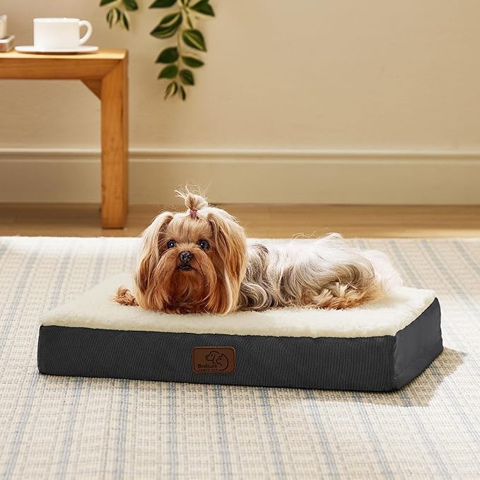 Bedsure Dog Bed for Small Dogs - XS Comfy Flat Puppy Beds with Removable Washable Cover, Orthopedic Egg Crate Foam Pet Mat, Suitable for Pet or Cats Up to 10 lbs