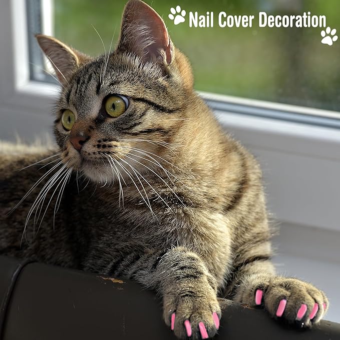 10 Pcs Cat Bathing Bag Set Pet Mesh Shower Bag Anti Bite and Scratch Pet Grooming for Washing Brush, Cat Muzzle, Nail Clipper, Nail File, Tick Tool(Blue and Pink)
