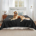 Luciphia Waterproof Pet Blanket, Liquid Pee Proof Dog Blanket for Sofa Bed Couch, Reversible Sherpa Fleece Furniture Protector Cover for Small Medium Large Dogs Cats, Black Queen Size（90" x 82"）