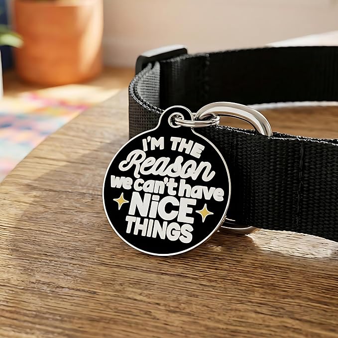 Bad Tags Personalized Dog and Cat ID Tags in 25+ Designs and 2 Sizes - 5 Lines of Custom Engraved Text - Funny Cute Personalized Pet Tags (I'm The Reason We Can't Have Nice Things, Large (1.25 inch))