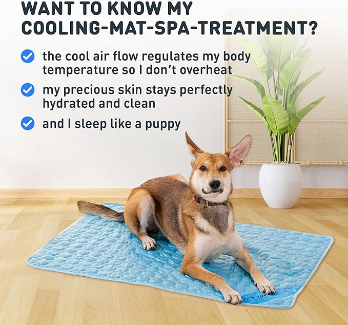 INSPECTOR TAIL Self Cooling & Traveling Mat + Free String Bag Pack/Washable & Portable Pet Soft Pad for Indoor or Outdoor/Perfect for Dog & Cats for Car Travel Kennel Sofa Bed Floor/Blue