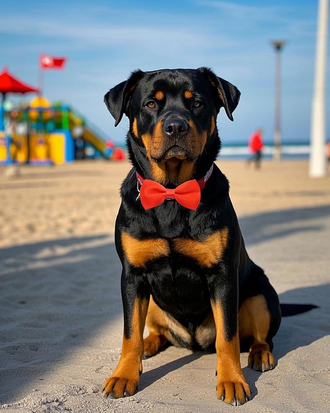 PET SHOW 12 Pack Plain Large Dogs Collar Embellishment Attachment Bow Ties for Medium Large Dogs Collar Charms Accessories Slides Bowties for Birthday Wedding Parties Assorted